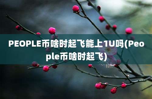 PEOPLE币啥时起飞能上1U吗(People币啥时起飞)