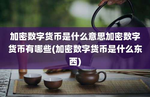 加密数字货币是什么意思加密数字货币有哪些(加密数字货币是什么东西)