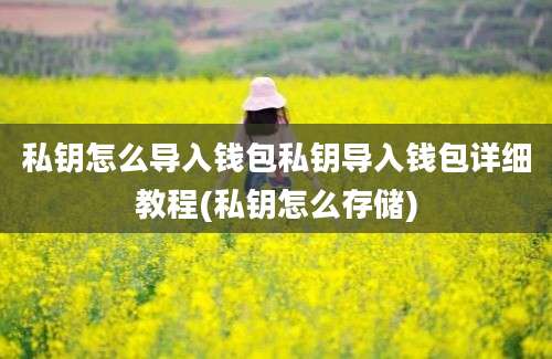 私钥怎么导入钱包私钥导入钱包详细教程(私钥怎么存储)