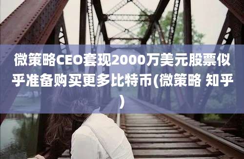 微策略CEO套现2000万美元股票似乎准备购买更多比特币(微策略 知乎)
