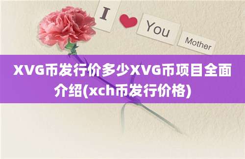 XVG币发行价多少XVG币项目全面介绍(xch币发行价格)