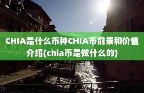 CHIA是什么币种CHIA币前景和价值介绍(chia币是做什么的)