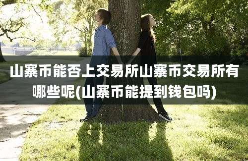 山寨币能否上交易所山寨币交易所有哪些呢(山寨币能提到钱包吗)