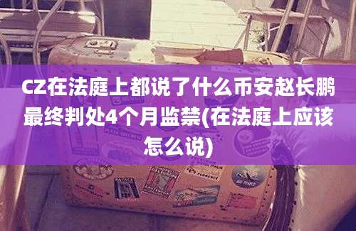 CZ在法庭上都说了什么币安赵长鹏最终判处4个月监禁(在法庭上应该怎么说)