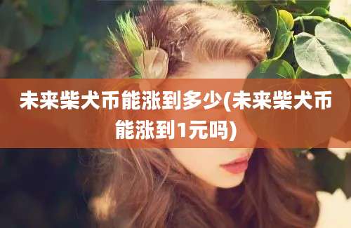未来柴犬币能涨到多少(未来柴犬币能涨到1元吗)