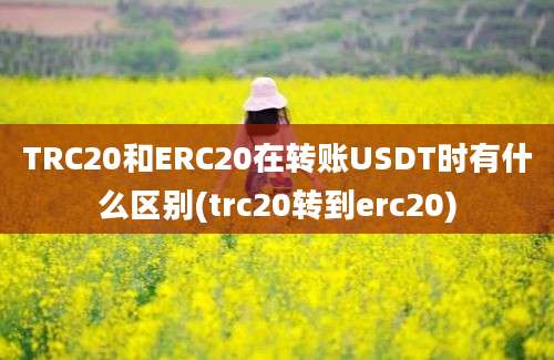 TRC20和ERC20在转账USDT时有什么区别(trc20转到erc20)