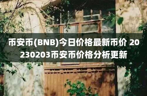 币安币(BNB)今日价格最新币价 20230203币安币价格分析更新