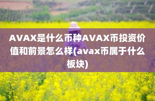 AVAX是什么币种AVAX币投资价值和前景怎么样(avax币属于什么板块)