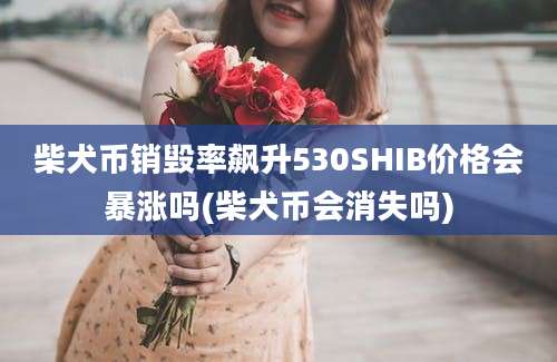 柴犬币销毁率飙升530SHIB价格会暴涨吗(柴犬币会消失吗)