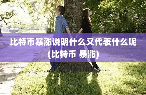 比特币暴涨说明什么又代表什么呢(比特币 暴涨)