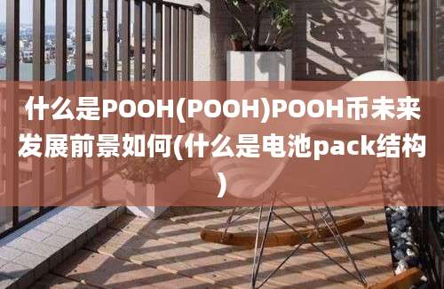 什么是POOH(POOH)POOH币未来发展前景如何(什么是电池pack结构)