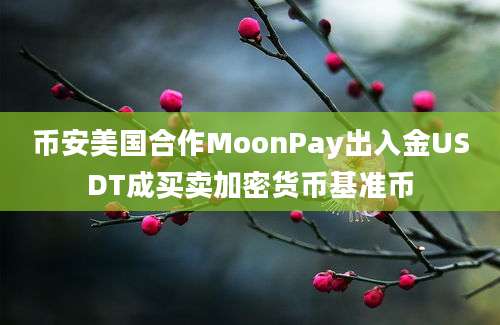 币安美国合作MoonPay出入金USDT成买卖加密货币基准币