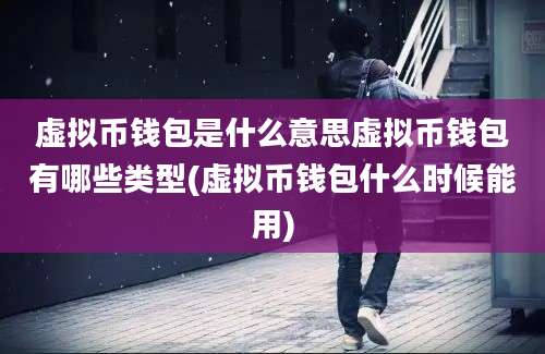 虚拟币钱包是什么意思虚拟币钱包有哪些类型(虚拟币钱包什么时候能用)