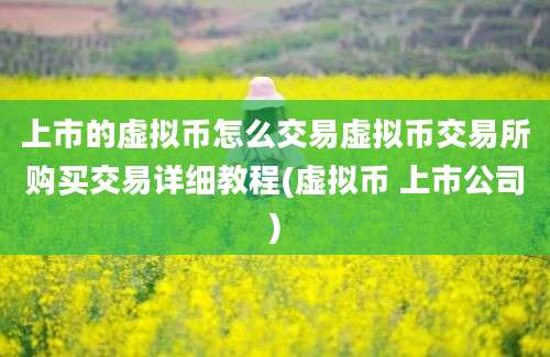 上市的虚拟币怎么交易虚拟币交易所购买交易详细教程(虚拟币 上市公司)