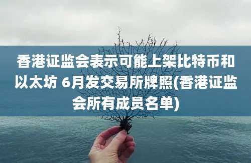 香港证监会表示可能上架比特币和以太坊 6月发交易所牌照(香港证监会所有成员名单)