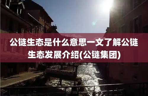 公链生态是什么意思一文了解公链生态发展介绍(公链集团)