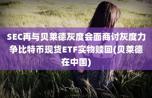 SEC再与贝莱德灰度会面商讨灰度力争比特币现货ETF实物赎回(贝莱德在中国)
