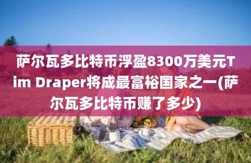 萨尔瓦多比特币浮盈8300万美元Tim Draper将成最富裕国家之一(萨尔瓦多比特币赚了多少)