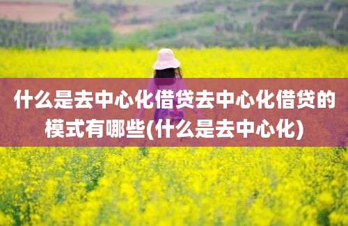 什么是去中心化借贷去中心化借贷的模式有哪些(什么是去中心化)