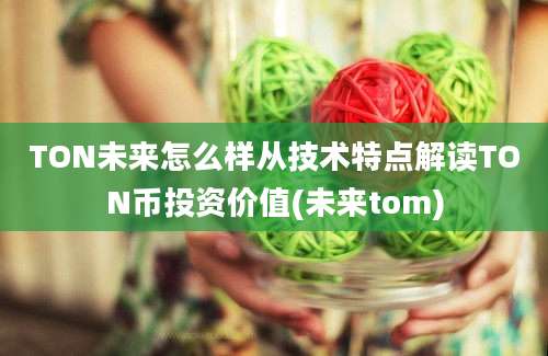TON未来怎么样从技术特点解读TON币投资价值(未来tom)