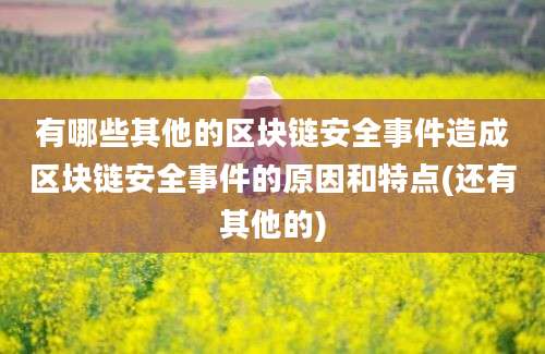 有哪些其他的区块链安全事件造成区块链安全事件的原因和特点(还有其他的)