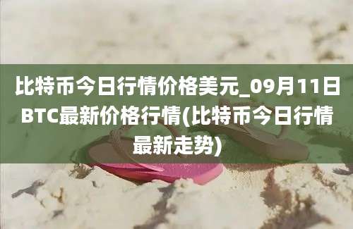 比特币今日行情价格美元_09月11日BTC最新价格行情(比特币今日行情最新走势)
