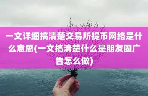 一文详细搞清楚交易所提币网络是什么意思(一文搞清楚什么是朋友圈广告怎么做)