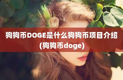 狗狗币DOGE是什么狗狗币项目介绍(狗狗币doge)