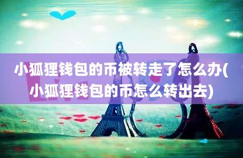 小狐狸钱包的币被转走了怎么办(小狐狸钱包的币怎么转出去)