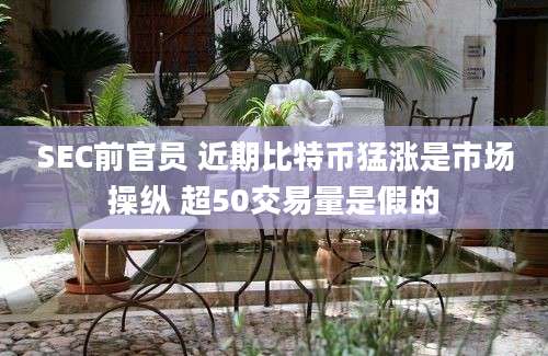 SEC前官员 近期比特币猛涨是市场操纵 超50交易量是假的