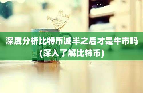 深度分析比特币减半之后才是牛市吗(深入了解比特币)