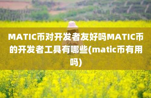 MATIC币对开发者友好吗MATIC币的开发者工具有哪些(matic币有用吗)