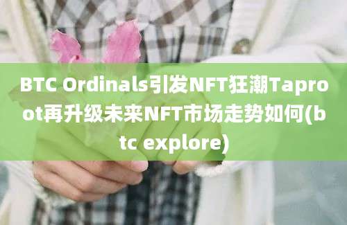 BTC Ordinals引发NFT狂潮Taproot再升级未来NFT市场走势如何(btc explore)