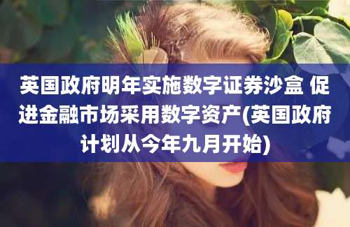 英国政府明年实施数字证券沙盒 促进金融市场采用数字资产(英国政府计划从今年九月开始)