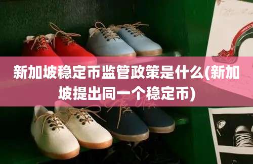 新加坡稳定币监管政策是什么(新加坡提出同一个稳定币)