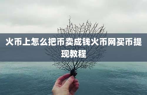 火币上怎么把币卖成钱火币网买币提现教程