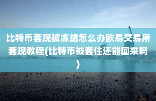 比特币套现被冻结怎么办欧易交易所套现教程(比特币被套住还能回来吗)