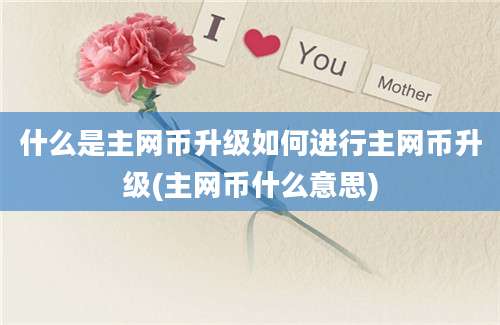 什么是主网币升级如何进行主网币升级(主网币什么意思)