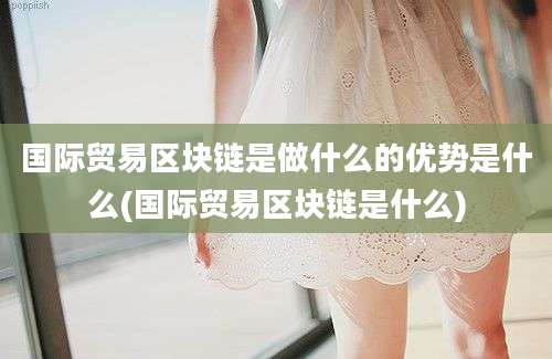 国际贸易区块链是做什么的优势是什么(国际贸易区块链是什么)