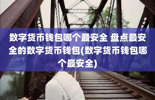 数字货币钱包哪个最安全 盘点最安全的数字货币钱包(数字货币钱包哪个最安全)
