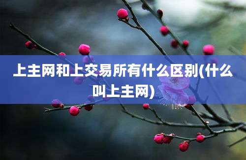 上主网和上交易所有什么区别(什么叫上主网)