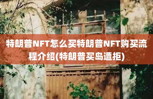 特朗普NFT怎么买特朗普NFT购买流程介绍(特朗普买岛遭拒)