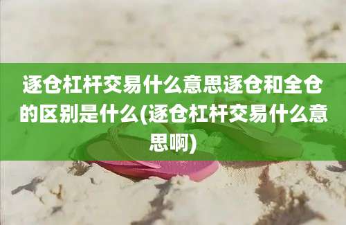 逐仓杠杆交易什么意思逐仓和全仓的区别是什么(逐仓杠杆交易什么意思啊)