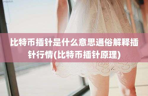 比特币插针是什么意思通俗解释插针行情(比特币插针原理)