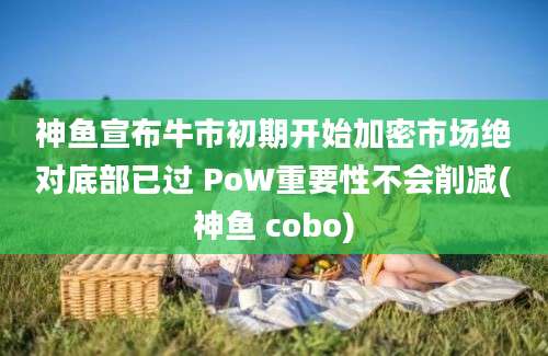 神鱼宣布牛市初期开始加密市场绝对底部已过 PoW重要性不会削减(神鱼 cobo)