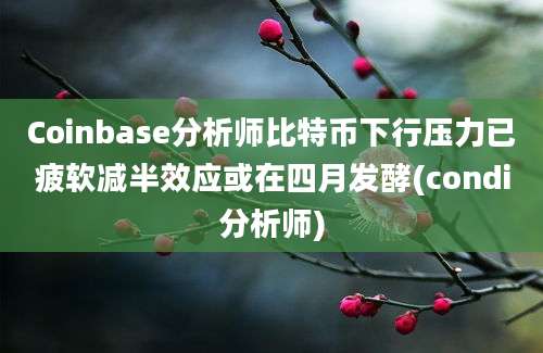 Coinbase分析师比特币下行压力已疲软减半效应或在四月发酵(condi分析师)