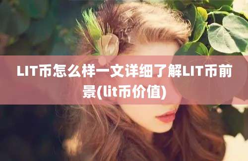 LIT币怎么样一文详细了解LIT币前景(lit币价值)