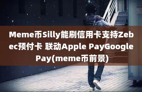 Meme币Silly能刷信用卡支持Zebec预付卡 联动Apple PayGoogle Pay(meme币前景)
