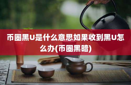 币圈黑U是什么意思如果收到黑U怎么办(币圈黑暗)