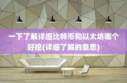 一下了解详细比特币和以太坊哪个好挖(详细了解的意思)